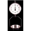 Image 1 : Great Western Produce Scale
