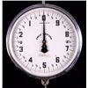 Image 2 : Great Western Produce Scale