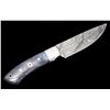 Image 2 : Damascus & Exotic Camel Bone CFK Custom Knife