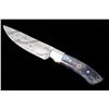 Image 3 : Damascus & Exotic Camel Bone CFK Custom Knife