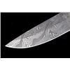 Image 5 : Damascus & Exotic Camel Bone CFK Custom Knife