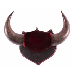 Large Montana Trophy Buffalo Horn Plaque