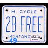 Image 9 : Montana License Plate Collection