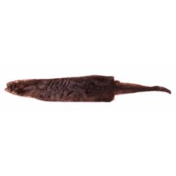Montana Tanned River Otter Fur Hide