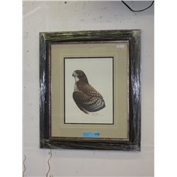 Ray Harm limited edition print "Red Tailed Hawk"
