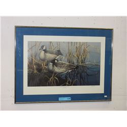 Paco Young -  Limited Edition Print