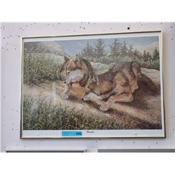 Gail Adams - Signed Limited Edition "Wolf" print