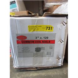 Case of 3" coil nails