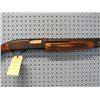 Image 3 : Winchester; Model 2200; 12 ga 2 3/4; Pump; Shotgun