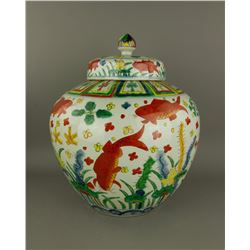 Wucai Fish Porcelian Jar w/ Cover Ming Jiajing MK