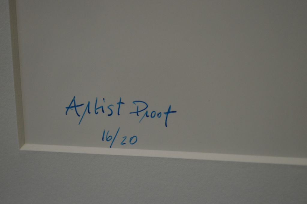 Framed limited edition artist proof of a red cardinal by artist David ...