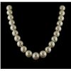 Image 2 : South Sea Cultured Pearl Necklace With 14KT Yellow Gold Diamond Clasp
