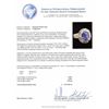 Image 5 : 4.55ct Tanzanite and Diamond Ring - 14KT White Gold