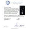 Image 5 : 14KT White Gold 23.00ct Beryl, Sapphire and Ruby Pendant With Chain
