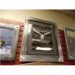 FRAMED PRINT - THE OWLS - KEITH FOCANKS - GALLERY ESTIMATE ~$475