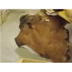 MED BURL - BEEN DRYING FOR 20YEARS IN CONSIGNORS GARAGE