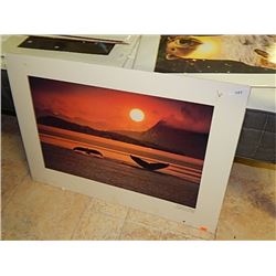 FRAMED PRINT - WHALES