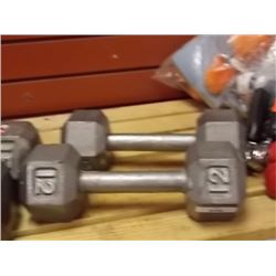 DUMB BELLS - 2 - 12LBS EACH