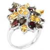 Image 1 : Natural Multi Gemstone Ring