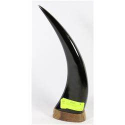 CARVED BUFFALO HORN