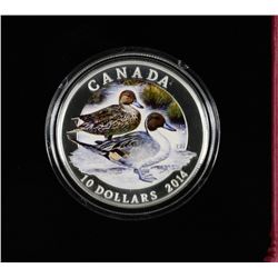 2014 FINE SILVER COLOURED NORTHERN PINTAIL DUCKS