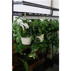 COAT-HAT RACK WITH PLANTS