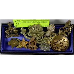 COLLECTION OF POLICE PINS & BADGES