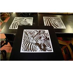 SET OF THREE SHOWHOME ZEBRA PICTURES