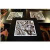 Image 1 : SET OF THREE SHOWHOME ZEBRA PICTURES