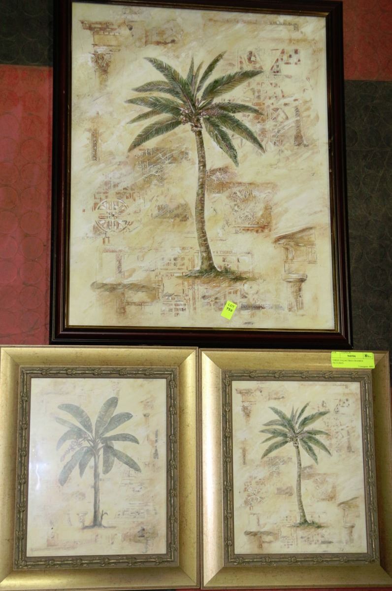 THREE PALM TREE FRAMED PICTURES