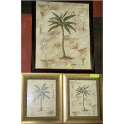 THREE PALM TREE FRAMED PICTURES