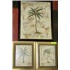 Image 1 : THREE PALM TREE FRAMED PICTURES