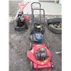 Image 1 : Push mower & weed whip