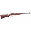 Image 1 : CZ 452 ZKM SCOUT 22LR YTH SS NO RING . 806703020501