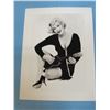 Image 2 : Marilyn Monroe Posters - Folder Cover & 5 posters - 3 are Missing