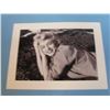 Image 5 : Marilyn Monroe Posters - Folder Cover & 5 posters - 3 are Missing