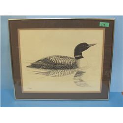 Loon Print