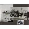 Image 4 : AFRIKA KORPS PHOTOGRAPH ALBUM