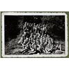Image 1 : HITLER YOUTH PHOTO ALBUMS