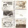 Image 4 : PACIFIC THEATER PHOTOS IN NEGATIVE