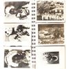 Image 5 : PACIFIC THEATER PHOTOS IN NEGATIVE