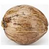 Image 2 : AMERICAN SOLDIER IN NEW GUINEA MAILS A COCONUT HOME