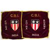Image 1 : CHINA-BURMA-INDIA THEATER-MADE PILLOW COVERS