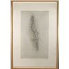 Image 1 : Robert Stackhouse, Sources and Structures 1, Etching