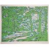 Image 1 : John Healy, Green Forest, Lithograph