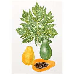 Marion Sheehan, Papaya, Lithograph