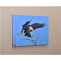 "Bald Eagle Landing" by Harry Nieman