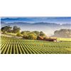 Image 2 : Napa Valley Wine Adventure for Two Couples