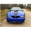 Image 6 : 2003 MUSTANG MACH 1