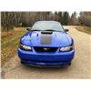 Image 6 : 2003 MUSTANG MACH 1